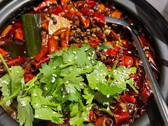 山城毛血旺-悦融·京鲁菜·露台花园(安定门店)