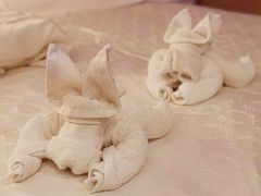 -长白山万达喜来登度假酒店