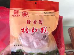 -野荸荠