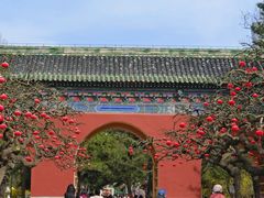 -团结湖公园