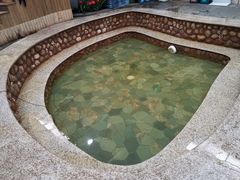 -南宫温泉水世界