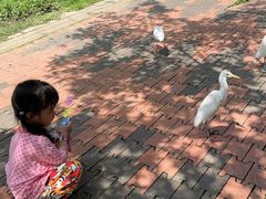 -吉隆坡雀鸟公园