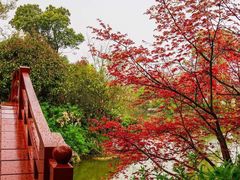 -桃花岛景观公园