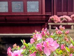 -豫园