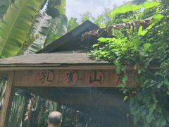 -西双版纳原始森林公园