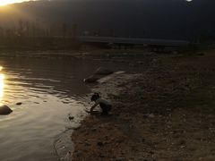 -坝光海滩