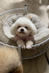 -YESIDO椰岛造型烫发染发