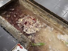 -千椒百味•自贡盐帮川菜