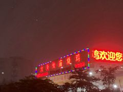 -大岗仙庙烧鸡(海南总店)