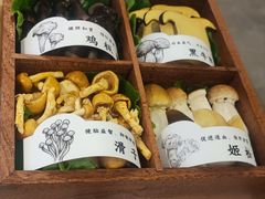 -椰子湾·海南火锅·糟粕醋·椰子鸡(正大广场店)