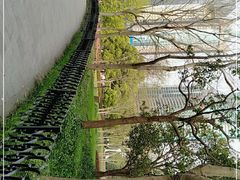 -陆家嘴中心绿地