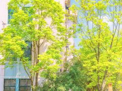 -浙江大学(玉泉校区)