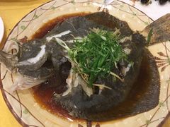 多宝鱼-鸿达渔港