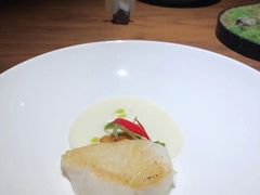 阿拉斯加银鳕鱼-觀芷隐轩