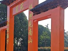 -南山植物园