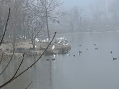 -盐城丹顶鹤湿地生态旅游区