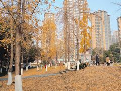 -塔子山公园