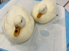-白夜2D咖啡馆