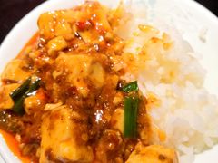 -陈麻婆豆腐总店