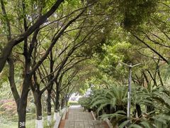 -重庆平顶山公园