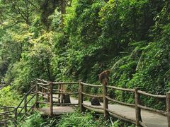 -峨眉山风景名胜区