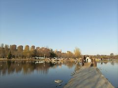 -前关湿地公园