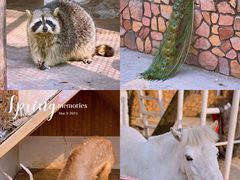 -J Create城市露营咖啡·简餐·宠物(上海动物园店)