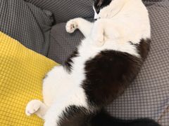 -路易时光(蕴川路店)