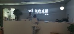 -单色舞蹈