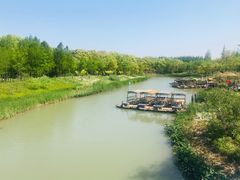 -上海长兴岛郊野公园