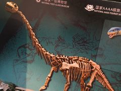 -自贡恐龙博物馆