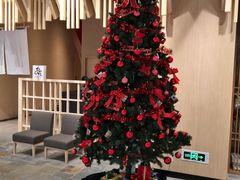 -大洋晶典(东街店)