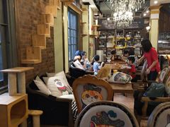 大堂-more than meow吴止猫主题餐厅(承德 中船汇店)