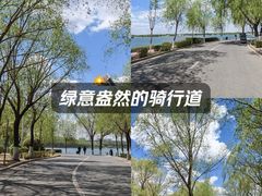 -丁香湖公园