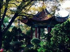 -昆明动物园