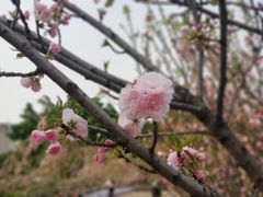 -观澜湖生态运动公社