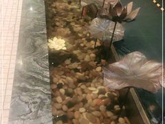 -全聚德烤鸭店(和平路店)