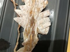 -老高烧烤(龙华星河iCO店)