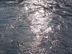 -后柳水乡