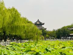 -济南大明湖景区