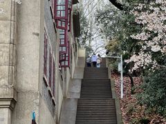 -武汉大学-樱园