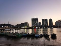 -野狸岛