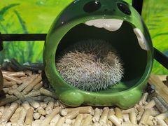 -广州长隆野生动物世界