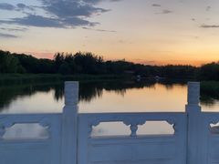 -大兴滨河森林公园