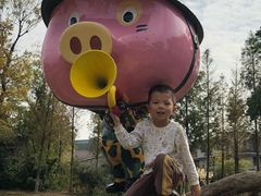 -田园东方蜜桃村的田野营地