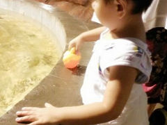 android_upload_pic-洛阳龙门海洋馆