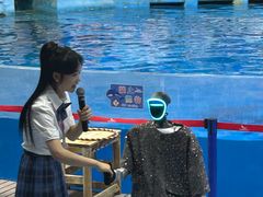 -合肥海洋世界