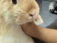 -哈尔滨道外花鸟鱼市场