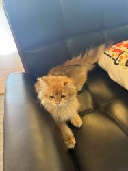 -G-STEPS舞蹈工作室