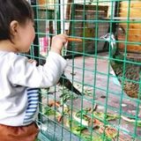 小朋友的放电指南-[吐]小蜜蜂农村[吐]